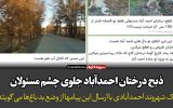 ذبح درختان احمدآباد جلوی چشم مسئولان / کاش دستگاه های مرتبط کاری کنند