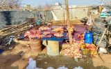 کشف کشتارگاه اسب و الاغ در اسلامشهر کشف کشتارگاه اسب و الاغ در اسلامشهر