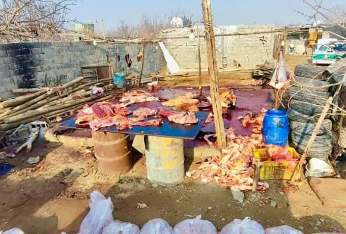 کشف کشتارگاه اسب و الاغ در اسلامشهر کشف کشتارگاه اسب و الاغ در اسلامشهر