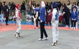 برگزاری مسابقات قهرمانی تکواندو بانوان شهرستان اسلامشهر برگزاری مسابقات قهرمانی تکواندو بانوان شهرستان اسلامشهر