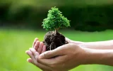 روز درختکاری فرصت پیوند با طبیعت