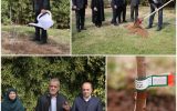 مردم با مشارکت در کاشت درخت به بهبود محیط زیست کشور کمک کنند