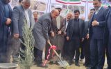 بهره برداری از بوستان شهید وطنی اسلامشهر بهره برداری از بوستان شهید وطنی اسلامشهر
