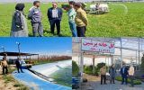 کنترل آفات مزارع توسط روش‌های نوین بیولوژیک در اسلامشهر