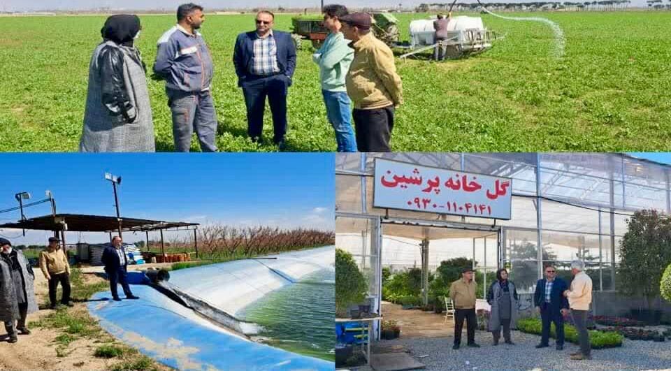 کنترل آفات مزارع توسط روشهای نوین بیولوژیک در اسلامشهر کنترل آفات مزارع توسط روشهای نوین بیولوژیک در اسلامشهر