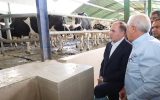 بازدید وزیر جهاد کشاورزی از واحد صنعتی پرورش دام تهران