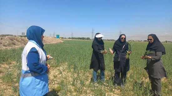 اجرای گشت مشترک نظارتی کارشناسان بهداشت و جهاد کشاورزی در اسلامشهر