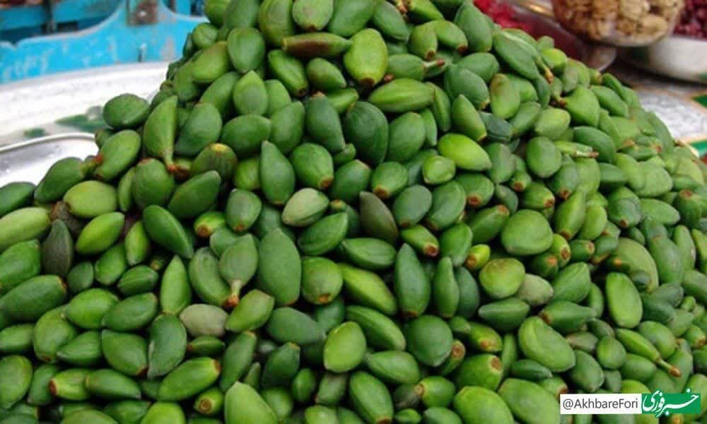 خطر مسمومیت با نوبرانه بهار/ مراقب مصرف این نوع چغالهها باشید خطر مسمومیت با نوبرانه بهار/ مراقب مصرف این نوع چغالهها باشید