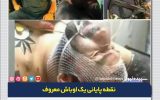 نقطه پایانی یک اوباش معروف/پلیس تهران  «هانی کرده» را با گلوله زمینگیر کرد