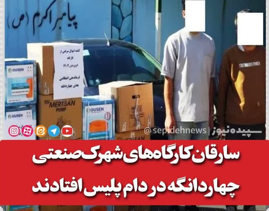 سارقان کارگاه‌های شهرک‌صنعتی چهاردانگه در دام پلیس افتادند