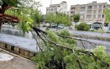 طوفان تهران تا چهارشنبه ادامه دارد طوفان تهران تا چهارشنبه ادامه دارد