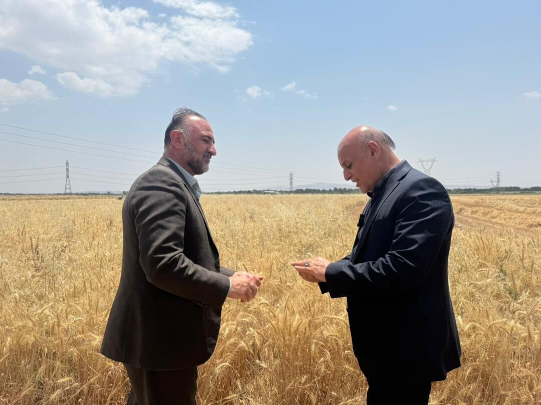 تخصیص ۲۵۰میلیارد ریال برای رفع کمبود آب کشاورزی اسلامشهر تخصیص ۲۵۰میلیارد ریال برای رفع کمبود آب کشاورزی اسلامشهر