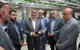 بازدید فرماندار اسلامشهر از واحدهای فعال بخش کشاورزی بازدید فرماندار اسلامشهر از واحدهای فعال بخش کشاورزی
