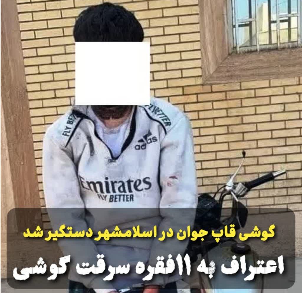 گوشی قاپ جوان در اسلامشهر دستگیر شد/ اعتراف به 11فقره سرقت گوشی قاپ جوان در اسلامشهر دستگیر شد/ اعتراف به 11فقره سرقت