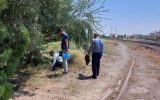 ارزیابی ریسک و حشره‌شناسی در ایستگاه راه‌آهن آپرین اسلامشهر