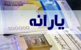 سخنگوی دولت: یارانۀ دهک‌های ۸ و ۹ حذف می‌شود