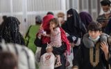 اتباع افغانستان در ایران ۱۲ درصد جمعیت کشورمان را تشکیل می‌دهند