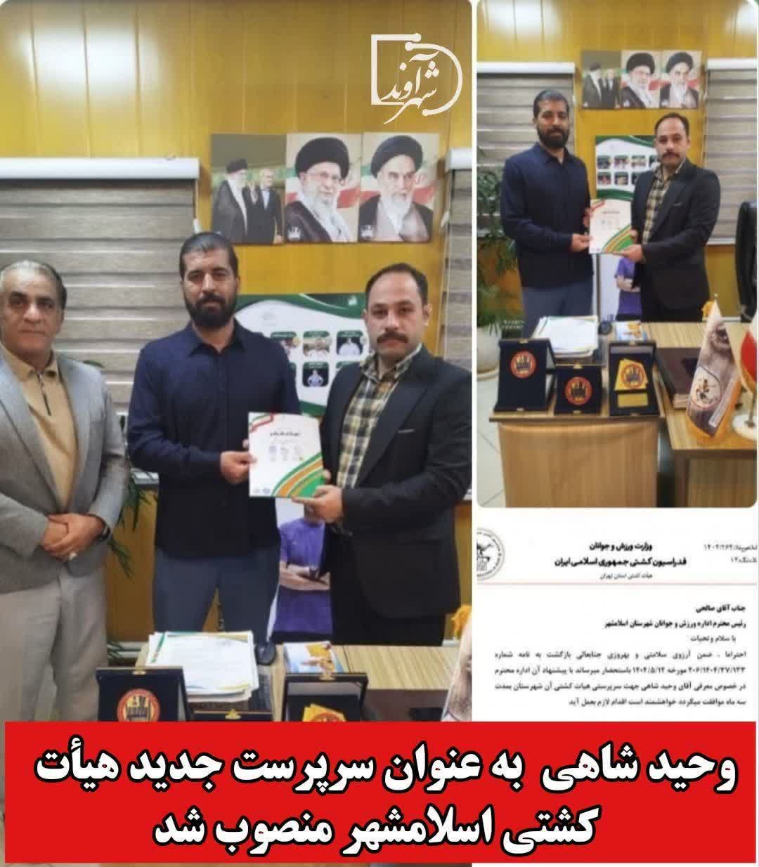 وحید شاهی بهعنوان سرپرست جدید هیأت کشتی اسلامشهر منصوب شد وحید شاهی بهعنوان سرپرست جدید هیأت کشتی اسلامشهر منصوب شد