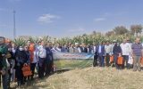 امام جمعه احمدآباد:کشاورزان با وجود کم‌توجهی‌ها، دستاوردی بزرگ رقم زده‌اند