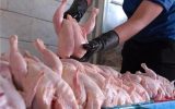 نگاهی به مصرف روزانه ۱۷۰۰ تنی مرغ در تهران