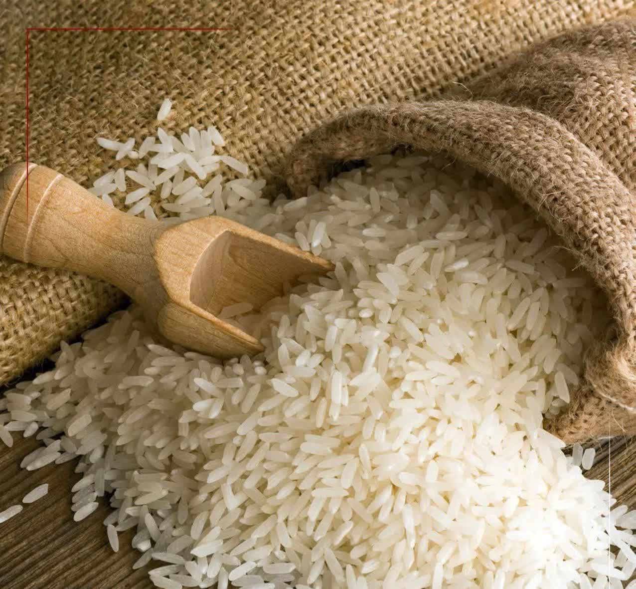 توزیع برنج پاکستانی با قیمت ۴۶ هزار تومان توزیع برنج پاکستانی با قیمت ۴۶ هزار تومان