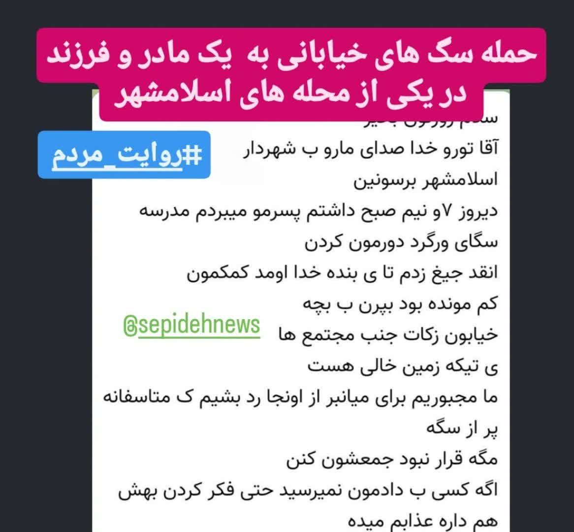 حمله سگ های خیابانی به  یک مادر و فرزند در یکی از محله های اسلامشهر