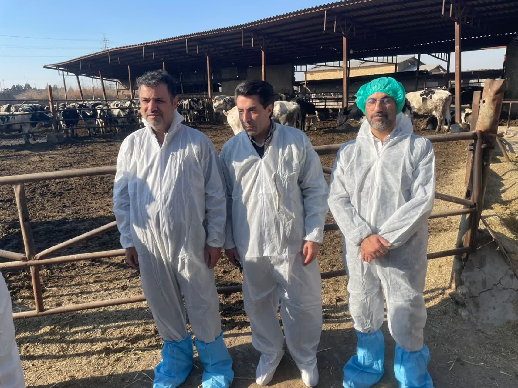 تقدیر از دامپزشکی اسلامشهر به خاطر تلاش برای کنترل تب برفکی